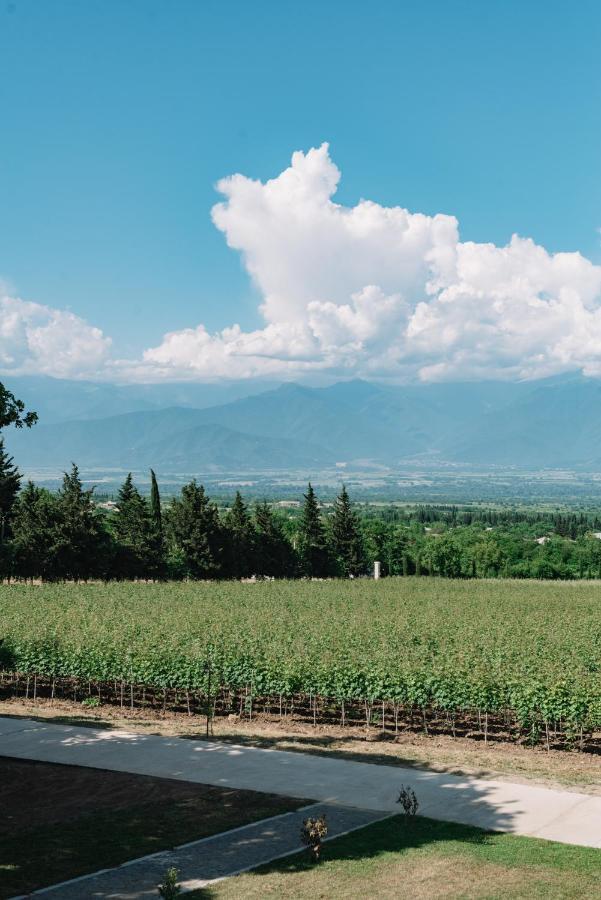 Vazisubani Estate 호텔 외부 사진