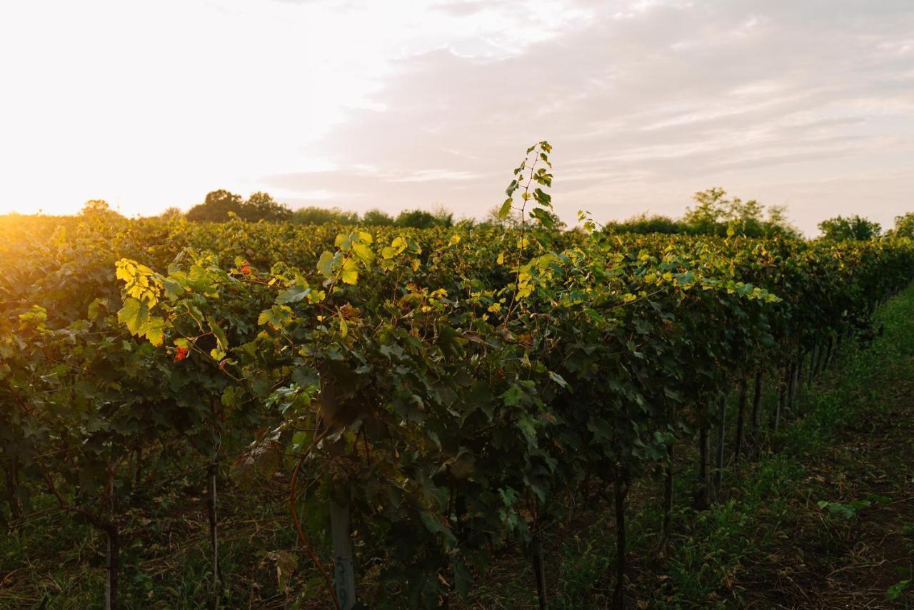 Vazisubani Estate 호텔 외부 사진
